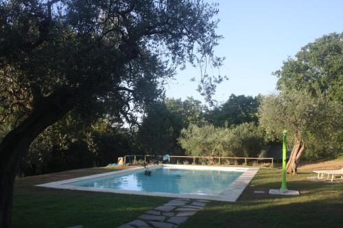 una piscina en un patio con un árbol en Antica Fonte holiday home, en Tavullia