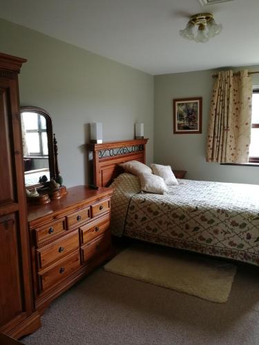 a bedroom with a bed and a dresser and a mirror at Fox Heaven B&B in Carrickfergus