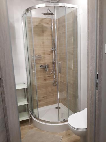 a glass shower in a bathroom with a toilet at Katrin House in Oświęcim