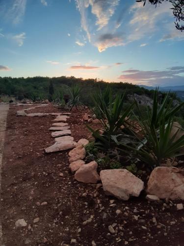 a garden with rocks and plants on the side of a road at Apartman ORLOVAC in Slime
