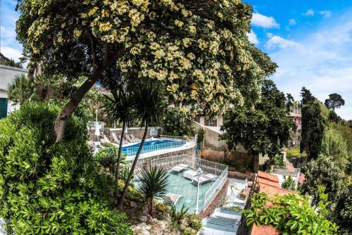 Piscine de l'établissement Ischia Dream Visions ou située à proximité