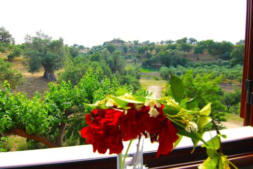 a vase filled with red flowers sitting on a window sill at Agriturismo Vulcano in Mirto Crosia