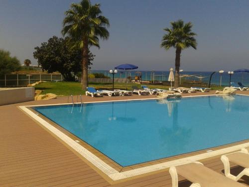 a large swimming pool with chairs and palm trees at Pallini Court in Protaras