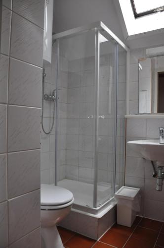 a bathroom with a shower and a toilet and a sink at Vas Lipa 8 - 36 in Podčetrtek