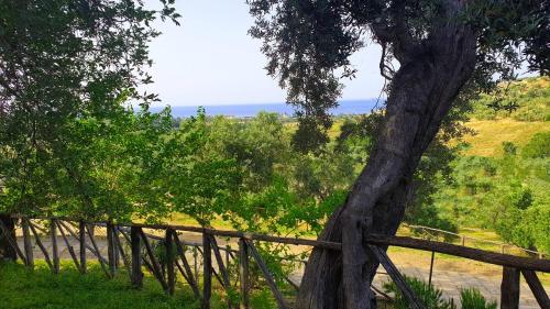a wooden fence next to a tree with the ocean in the background at Agriturismo Vulcano in Mirto Crosia