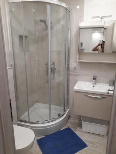 Ένα μπάνιο στο Apartments Roko