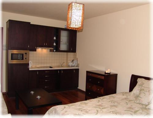 a small kitchen with a bed and a sink at Apartament Pod Aniołem - Gdański in Kazimierz Dolny