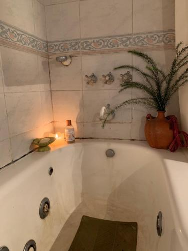 a bath tub with a potted plant on top of it at Quinta en Pilar in Del Viso