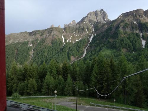 a view of a mountain with trees and a train at Piccolo Igloo in Falcade