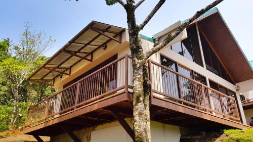 a house with a tree in front of it at Green Forest Rustic Houses in Monteverde Costa Rica