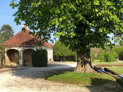 a large tree in front of a building with a tree at Château de Villemorien in Villemorien