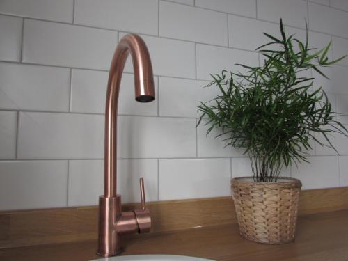 a kitchen sink with a faucet and a potted plant at White Willows in Praa Sands