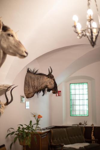 a living room with two heads of animals on the wall at Hotel Zum Goldenen Hirschen in Freistadt