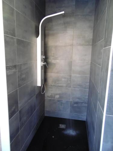a bathroom with a shower with a black floor at Chante Grelet in Châtel-Guyon