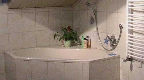 Un baño de Ferienhaus Drexler