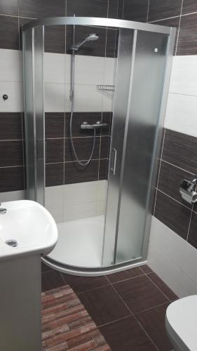 a bathroom with a shower and a sink at Penzion Rozhovice in Rozhovice