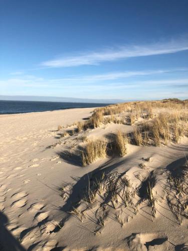 Dein Sylt photo 10