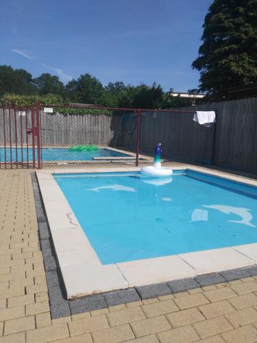 a swimming pool with a toy in the middle at Chalet nur für Urlauber Familien in Putten an der Veluwe Krachtighuizerkern 22 & free Bikes in Putten