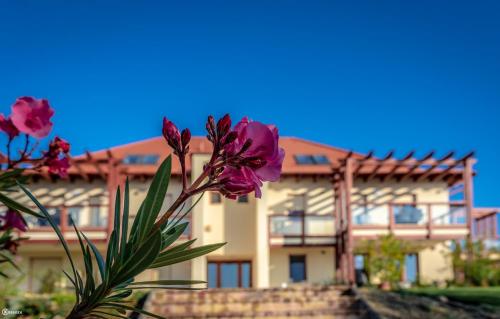a pink flower in front of a building at Aranymandula apartmanok in Balatonakali