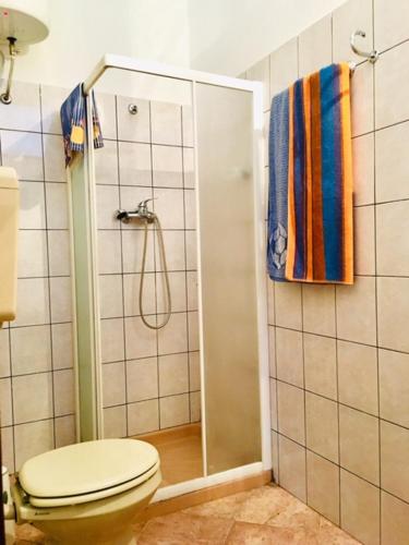 a bathroom with a toilet and a shower at Apartmaji Jana in Bovec