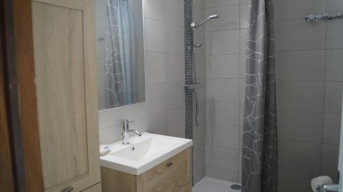 een badkamer met een wastafel en een douche bij Gite Saboti in Dinant