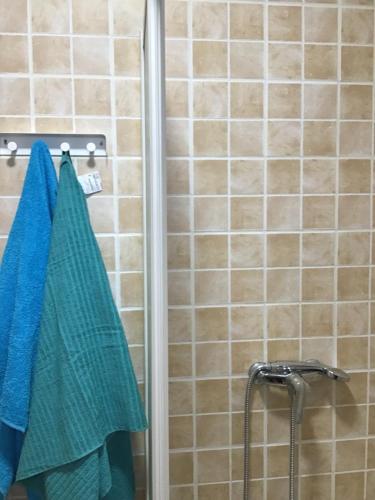 a shower with blue towels hanging on a rack at Tarajal de Playa in Playa de San Juan
