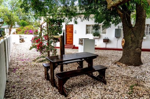 a wooden bench sitting in front of a tree at Green Olive Guesthouse in Robertson