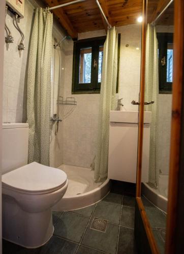 a bathroom with a toilet and a shower and a tub at Ionian Seaview apartments in Syvota
