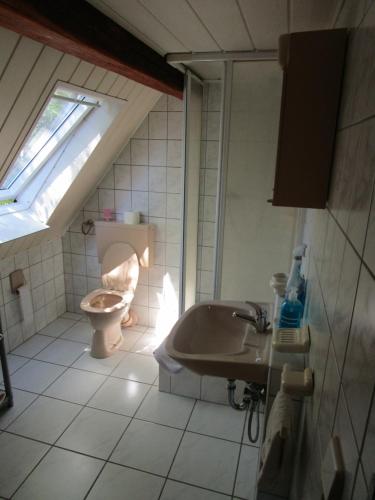 uma casa de banho com um WC e um lavatório em Pension Sabine em Lützen