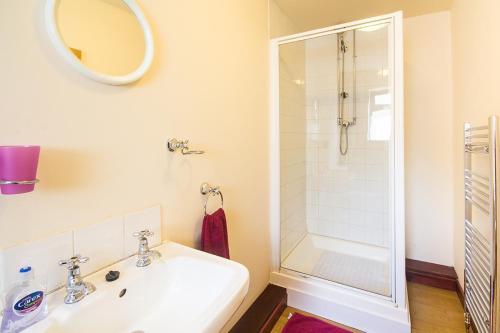 baño blanco con ducha y lavamanos en Lower Micklin Farm en Alton
