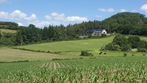アパートメントの近くで見られる自然の景観