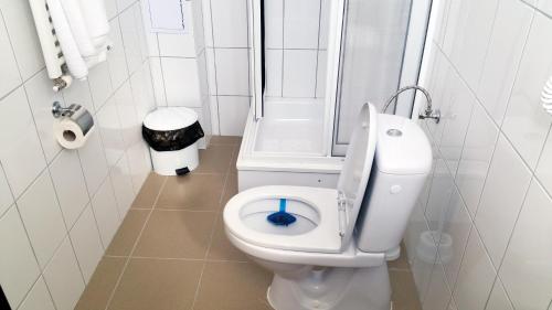 Koupelna v ubytování Hotel Teilor