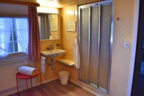 ein Badezimmer mit Waschbecken und Dusche in der Unterkunft Gasthaus Sternen in Degersheim