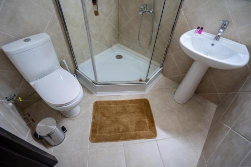 a bathroom with a shower and a toilet and a sink at Wine Inn Borjomi Aparthotel in Borjomi