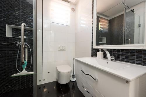 een badkamer met een toilet, een wastafel en een douche bij Castua-apartment with private heated pool in Kastav
