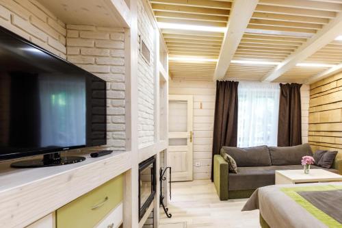 a room with a flat screen tv and a couch at Voevodyno Resort in Tur'ya Pasika
