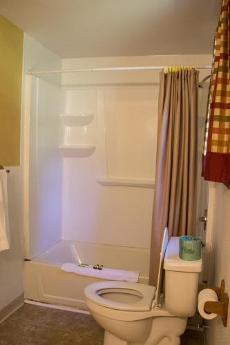 un baño con inodoro y ducha en Fran Cove Motel, en Lake George