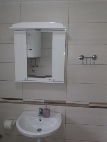 a bathroom with a sink and a mirror at Apartments Mirković in Cetinje