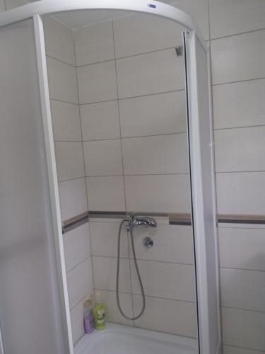 a bathroom with a shower with a tub at Apartments Mirković in Cetinje