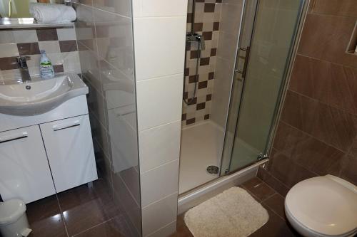 a bathroom with a shower and a toilet and a sink at Apartments Nevenka i Josko in Tučepi