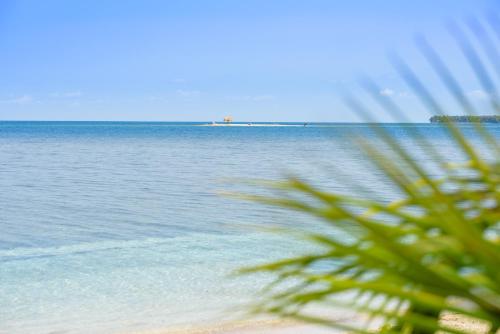 Calala Island – Photos 2