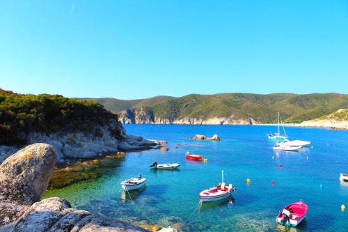 a group of boats in a body of water at Hotel Palladium Sithonia in Kalamitsi