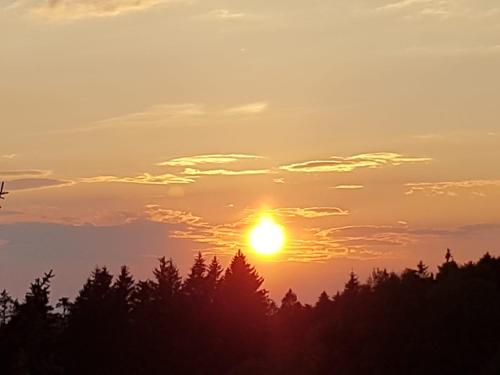 a sunset with trees in the foreground at Apartment Abendrot in Sankt Englmar
