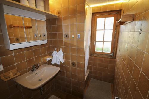 a bathroom with a sink and a window at Rose de Noël in Les Diablerets