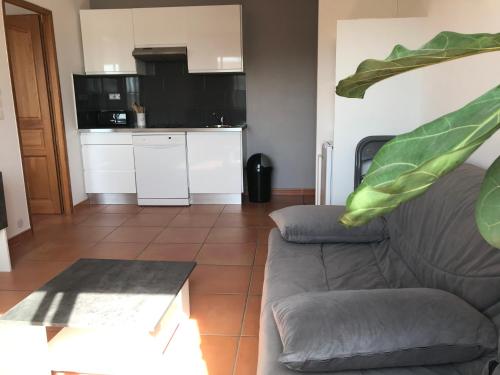un salon avec un canapé et une cuisine dans l'établissement Appartement à la mer, au Grau-dʼAgde