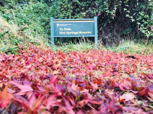 a sign in the middle of a field of leaves at Te Puia Hot Springs Hotel in Te Puia