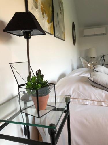 einem Glastisch mit einer Topfpflanze auf einem Bett in der Unterkunft Terre de Sienne in Charpey