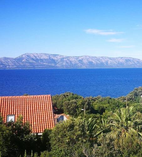 Villa Radulj – Photos 5
