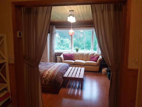 Pyhtaa的住宿－Pyhtää Garden Villa，带沙发和窗户的客厅