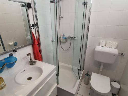 a bathroom with a shower and a sink and a toilet at Das Haus auf der Düne in Plouescat